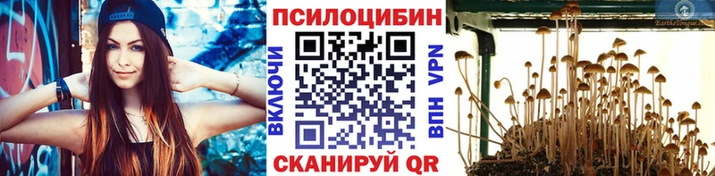 Псилоцибиновые грибы Cubensis  Белоозёрский 